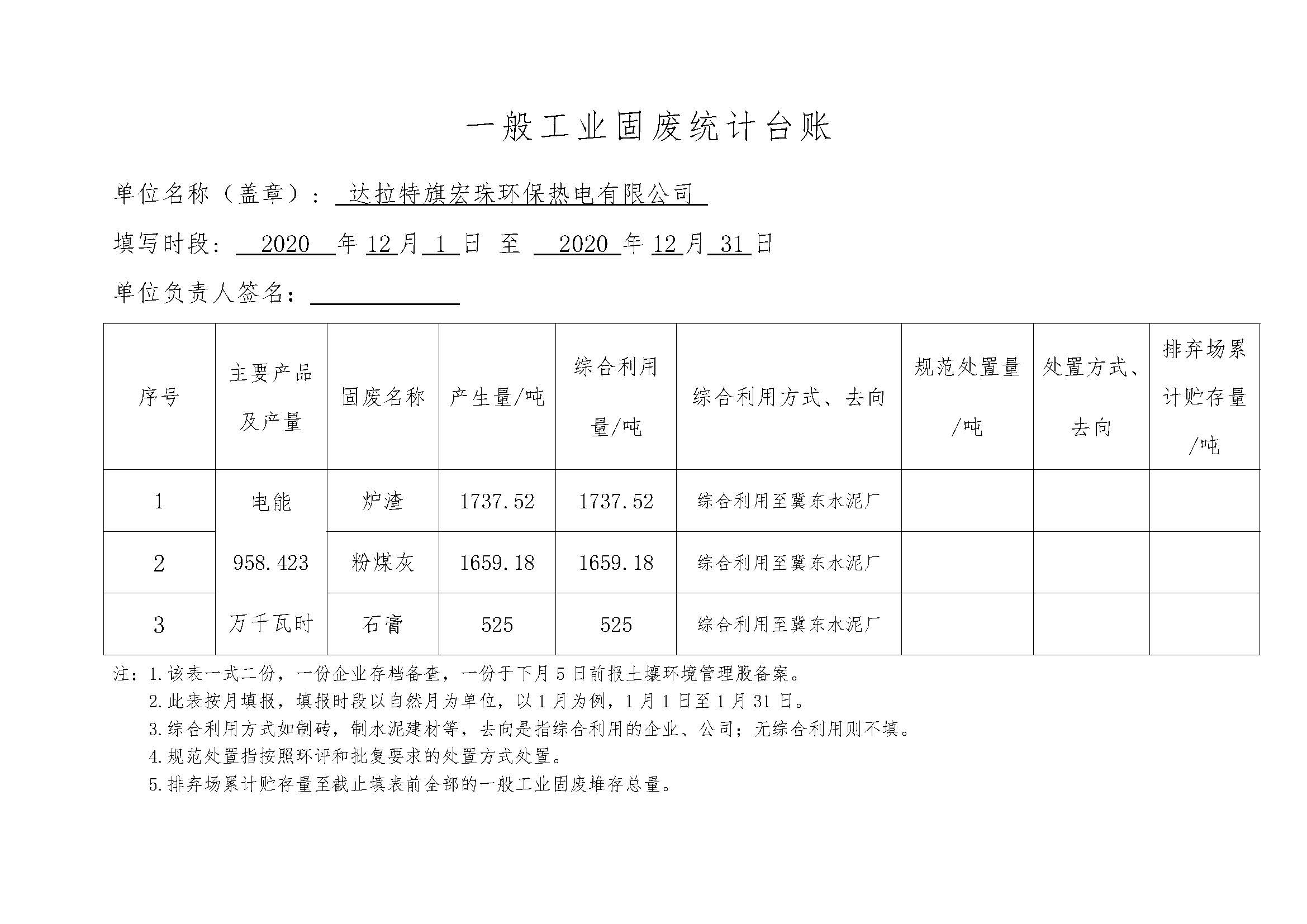 宏珠熱電一般工業(yè)固廢統計臺賬_頁(yè)面_12.jpg